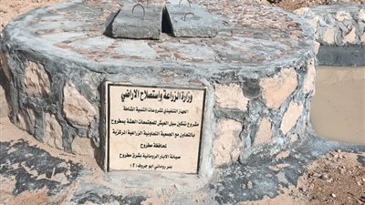 وزارة الزراعة: خطة شاملة لدعم مزارعي مطروح وتوزيع تقاوي الشعير والزيتون بالمجان