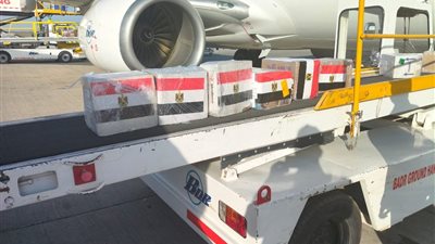 مصر ترسل قافلة طبية نوعية ومستلزمات علاجية وأدوية إلى السودان