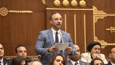 أحمد الحمامصي يطالب بخطة حكومية شاملة لمواجهة سرقة التيار الكهربائي