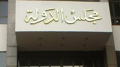  مطالب بإلغاء انتخابات مجلس النواب.. طعن قضائي جديد بالمحكمة الإدارية العليا