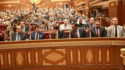 مجلس الشيوخ يقر تحديث شروط القيد بنقابة المهن الرياضية