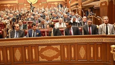 عضو بالشيوخ: السياسة الخارجية المصرية أعادت صياغة التوازنات الإقليمية