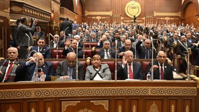 قيادي بحماة الوطن: القانون الجديد يضبط الممارسة المهنية للرياضة