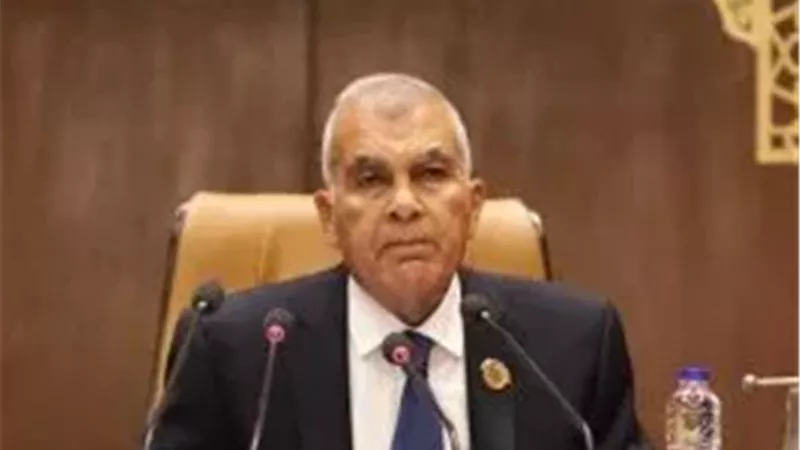 المستشار عصام فريد