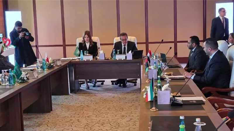 وزير الصحة: مخرجات اللجنة تبرز قضايا صحية مشتركة مع ليبيا تتطلب توحيد الجهود العربية