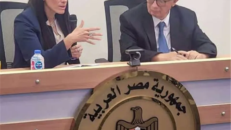 المشاط تناقش التحول في نموذج نمو الاقتصاد المصري وتطور مؤشراته منذ يوليو 2024