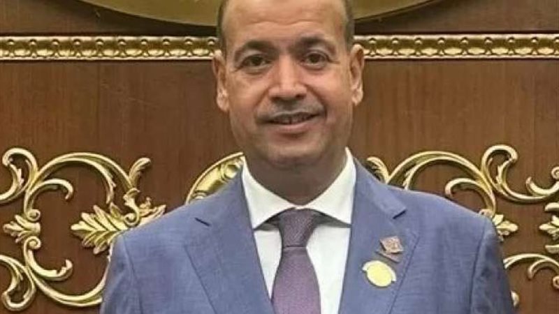 النائب أحمد السيد