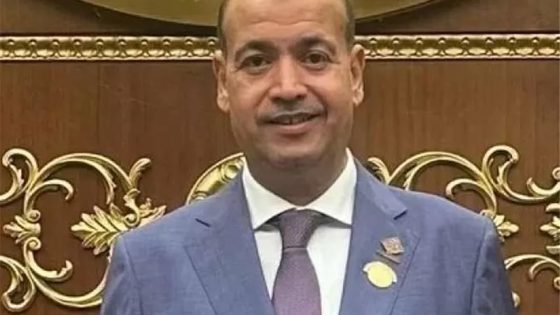 عضو بالشيوخ: تماسك الجبهة الداخلية كلمة السر في الانتصار 