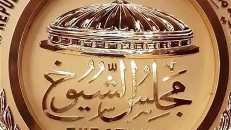 مجلس الشيوخ يبدأ جلساته التشريعية بمناقشة تعديلات قانون الكهرباء ونقابة المهن الرياضية