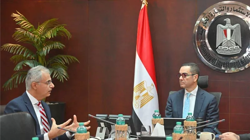 لبحث سبل التعاون.. وزير الاستثمار يلتقي الرئيس  التنفيذي لشركة 