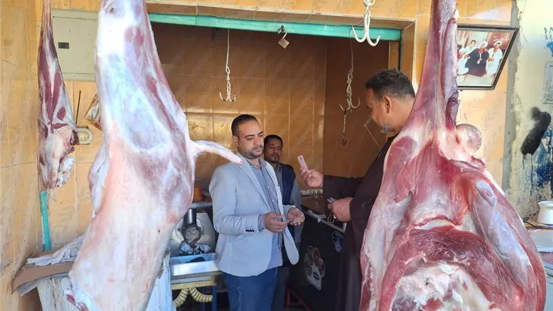 محافظ أسوان يتابع جهود الطب البيطرى لتكثيف الحملات على المعروضات والمنتجات الغذائية