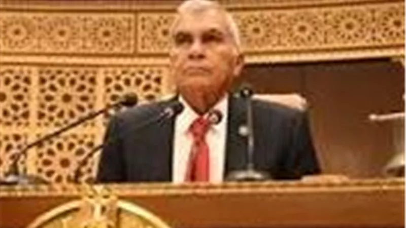 رئيس مجلس الشيوخ يهنئ الرئيس السيسي بالعام الميلادي الجديد 