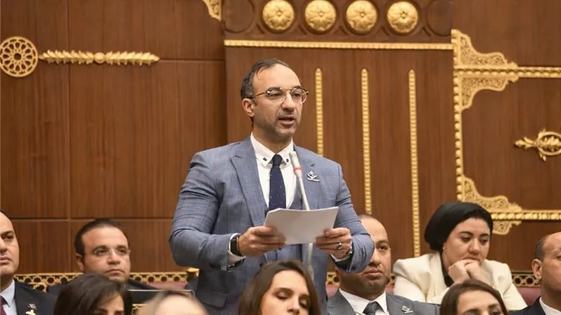 أحمد الحمامصي يطالب بخطة حكومية شاملة لمواجهة سرقة التيار الكهربائي