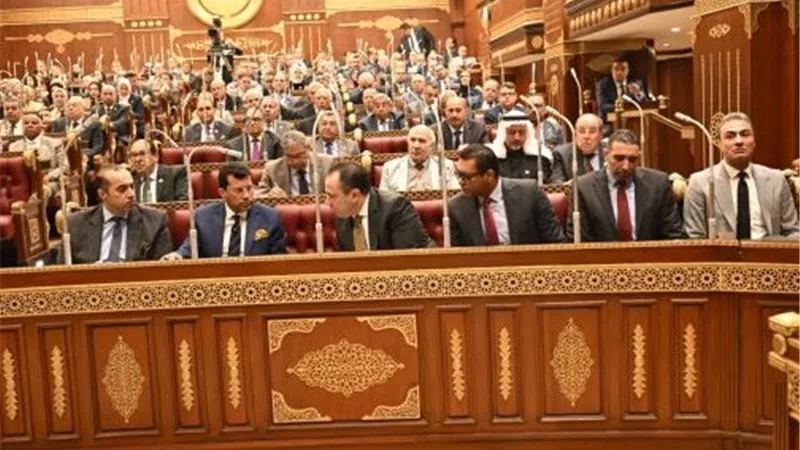 عضو بالشيوخ: السياسة الخارجية المصرية أعادت صياغة التوازنات الإقليمية