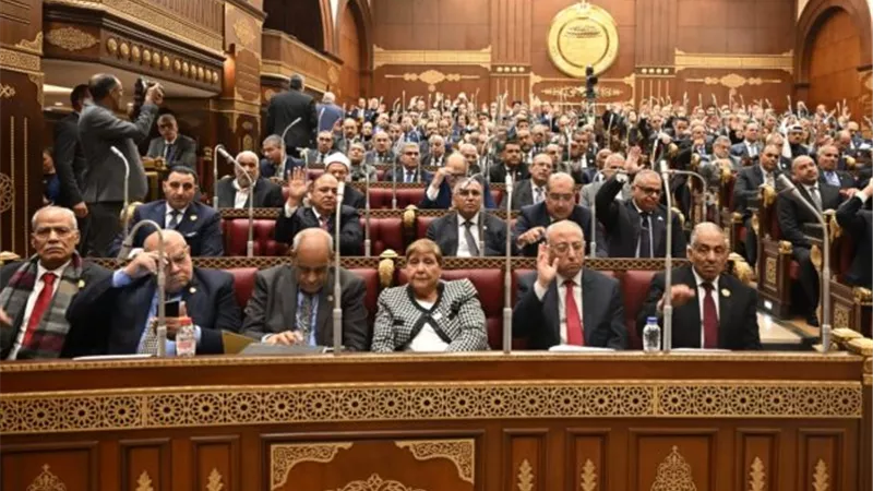 قيادي بحماة الوطن: القانون الجديد يضبط الممارسة المهنية للرياضة