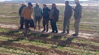مركز بحوث الصحراء يعزز الدعم الميداني للمزارعين في سيناء 