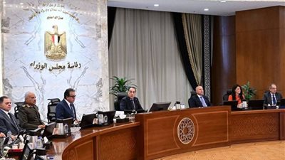 رسميًا.. مجلس الوزراء يعدل قانون المرور للحد من الحوادث