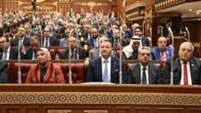 مجلس الشيوخ يفتح ملف حقوق الإنسان والتعاون مع المؤسسات الدولية