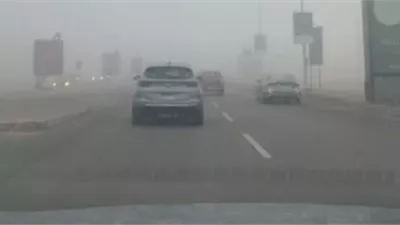 المرور تغلق الطرق.. إجراءات احترازية بسبب الضباب