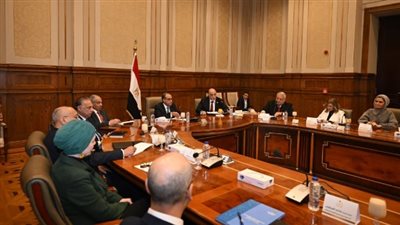 وزير الخارجية: مصر محاطة بأحزمة نيران.. وأي ضرر من السد الإثيوبي سيقابل برد حازم