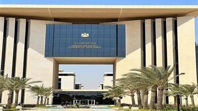 مصر تدين اعتراف اسرائيل الأحادي بما يسمى بأرض الصومال