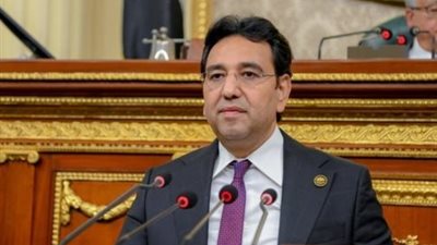 أيمن محسب: وحدة الصومال ركيزة للأمن القومي العربي وأي مساس بها يهدد الاستقرار الإقليمي