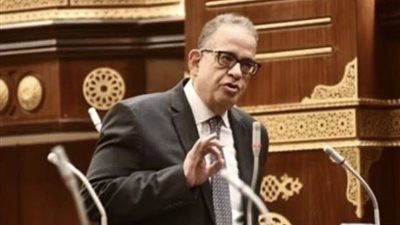 وكيل تشريعية الشيوخ : تعديل قانون الكهرباء يضمن تحقيق العدالة التصالحية 