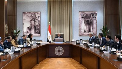 رئيس الوزراء: دعم الشركات الناشئة المُحرك الأساسي للنمو والتنمية 