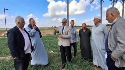 وكيل زراعة الإسماعيلية يتفقد 20.200 ألف فدان منزرعة بالقمح في المحافظة