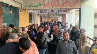 توافد كثيف للناخبين على لجان الجيزة للإدلاء بأصواتهم في انتخابات إعادة الدوائر الـ19 الملغاة