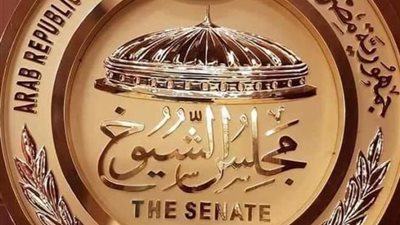عضو بالشيوخ: جهود الحكومة لدعم ريادة الأعمال يعزز التنمية لصالح الاقتصاد