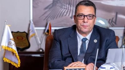 حليم يشيد بالموقف المصري: القاهرة تتحرك لحماية استقرار القرن الإفريقي