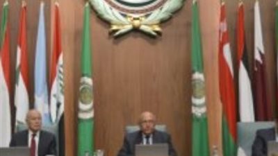 الجامعة العربية ترفض اعتراف إسرائيل بـ«أرض الصومال» وتؤكد: مساس خطير بالأمن القومي
