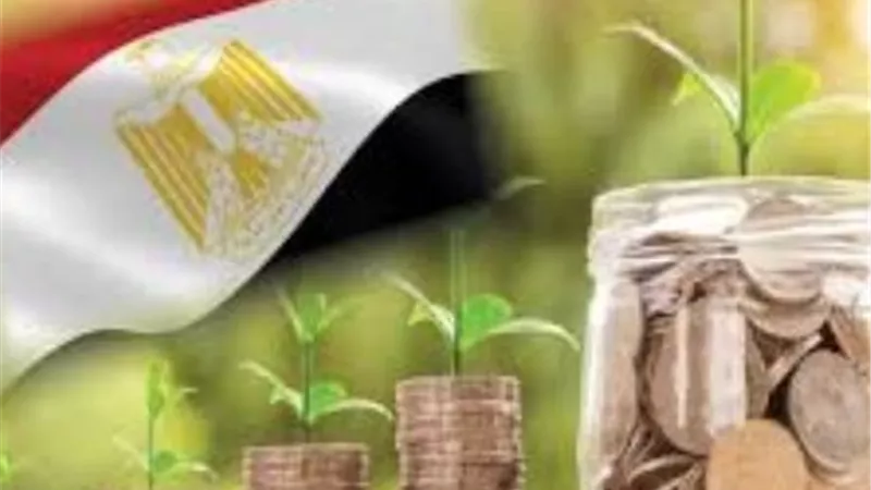 خبراء وبرلمانيون: تناغم السياسات المالية والنقدية رسالة طمأنة للأسواق والمستثمرين