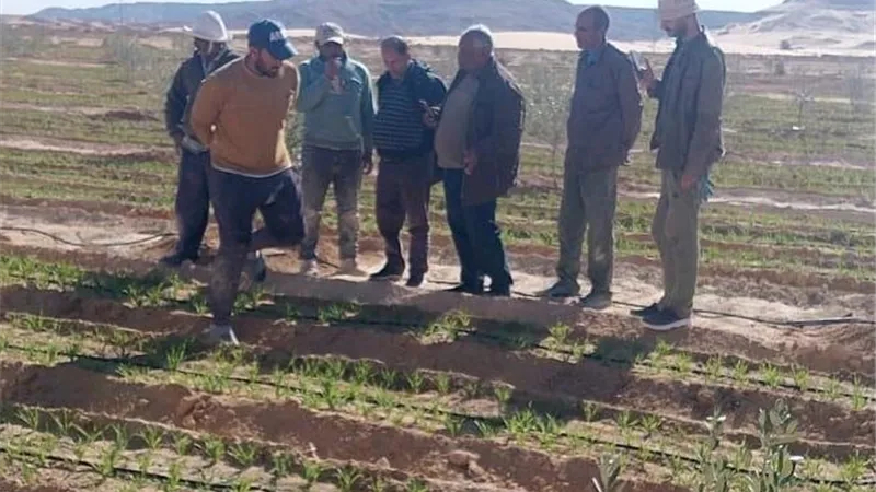 مركز بحوث الصحراء يعزز الدعم الميداني للمزارعين في سيناء 