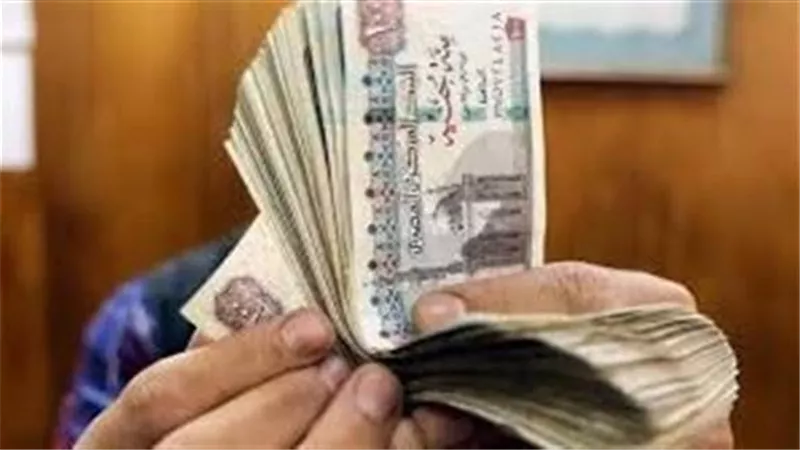 خاص| هل يُلغى حافز الـ1000 جنيه لكل المعلمين؟.. حقيقة الخطاب المتداول