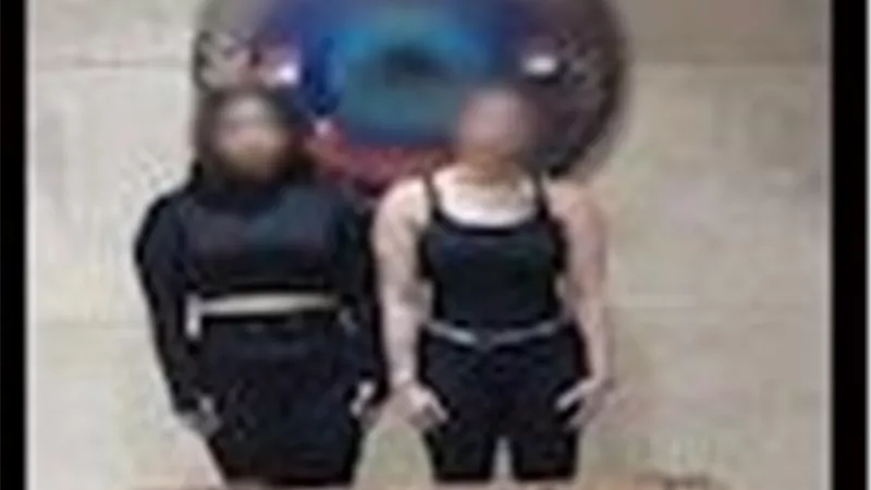 لتحقيق أرباح ومشاهدات.. ضبط صانعتي محتوى بالقاهرة لنشر فيديوهات خادشة للحياء 