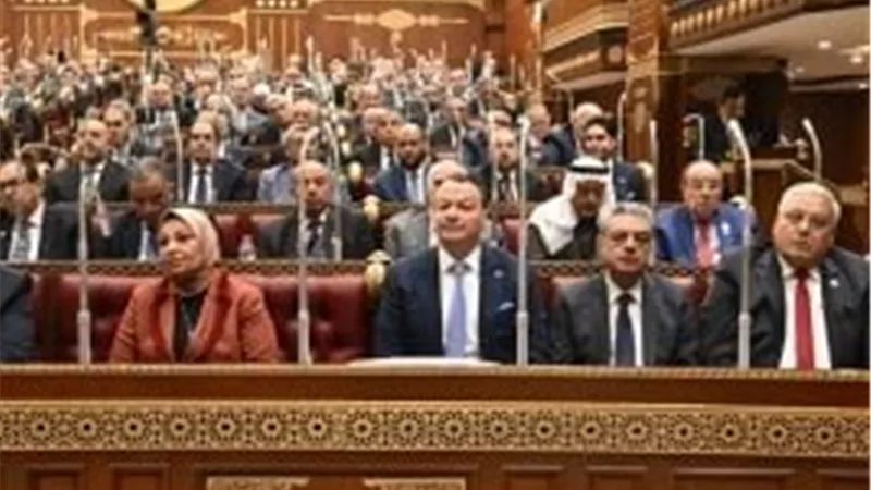 مجلس الشيوخ يفتح ملف حقوق الإنسان والتعاون مع المؤسسات الدولية