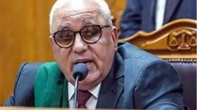 لمرافعة الدفاع.. تأجيل محاكمة 21 متهما بخلية اللجان لجلسة 5 أبريل