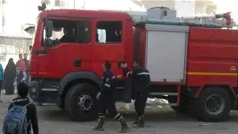 ارشيفية 