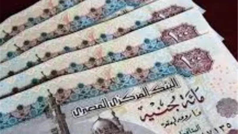 رفع الحد الأدنى للمعاشات ومنحة 1500 جنيه.. 4 قرارات حكومية بداية يناير 2026 