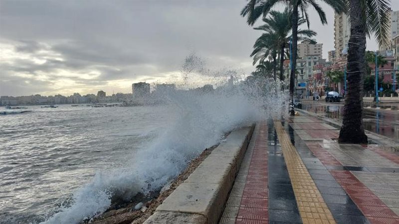 الاسكندرية 
