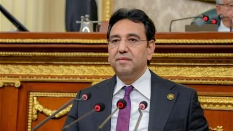 أيمن محسب: وحدة الصومال ركيزة للأمن القومي العربي وأي مساس بها يهدد الاستقرار الإقليمي