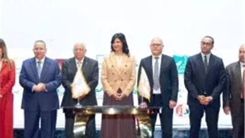 التحالف الوطني