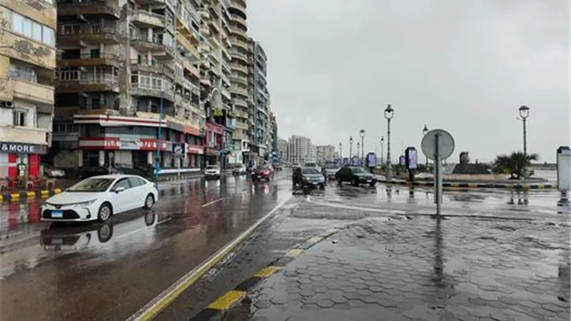 طقس غير مستقر وأمطار متفاوتة الشدة على الإسكندرية وعدد من محافظات
