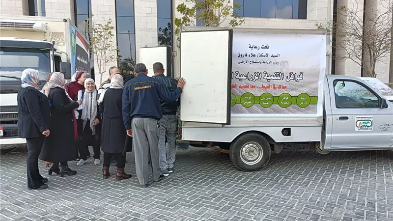 منافذ متنقلة لبيع الدواجن والبيض بأسعار مخفضة في العاصمة الإدارية