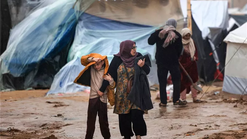 شتاء غزة القاتل.. المنخفض الجوي يمزق خيام النازحين واعتداءات تطال زيتون القدس