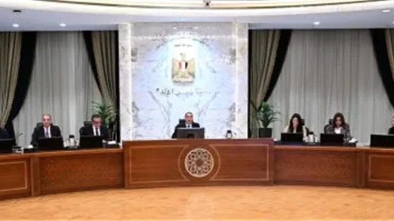 رئيس مجلس الوزراء