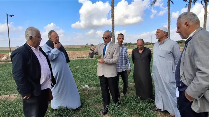 وكيل زراعة الإسماعيلية يتفقد 20.200 ألف فدان منزرعة بالقمح في المحافظة