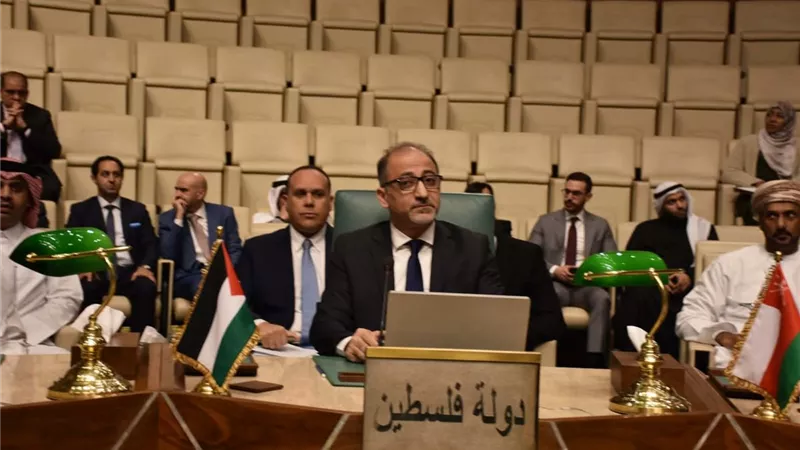 مندوب فلسطين بالجامعة العربية: نرفض المساس بسيادة الصومال 